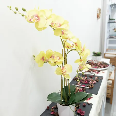 Maison d'hôtes - Da Nonna Maria 3*